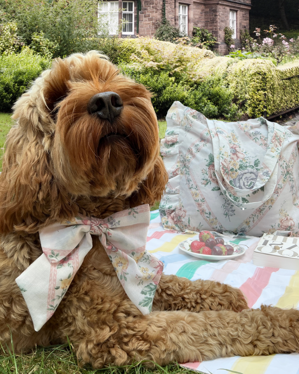 Picnic PAWfect: Cottage Charm Tote Bag