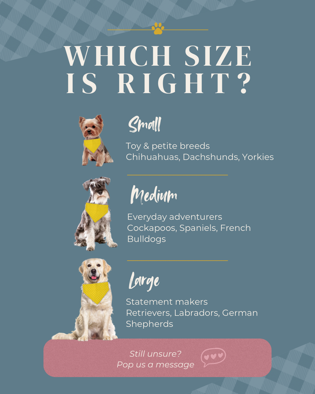 Balloon Party Over-the-Collar Dog Bandana