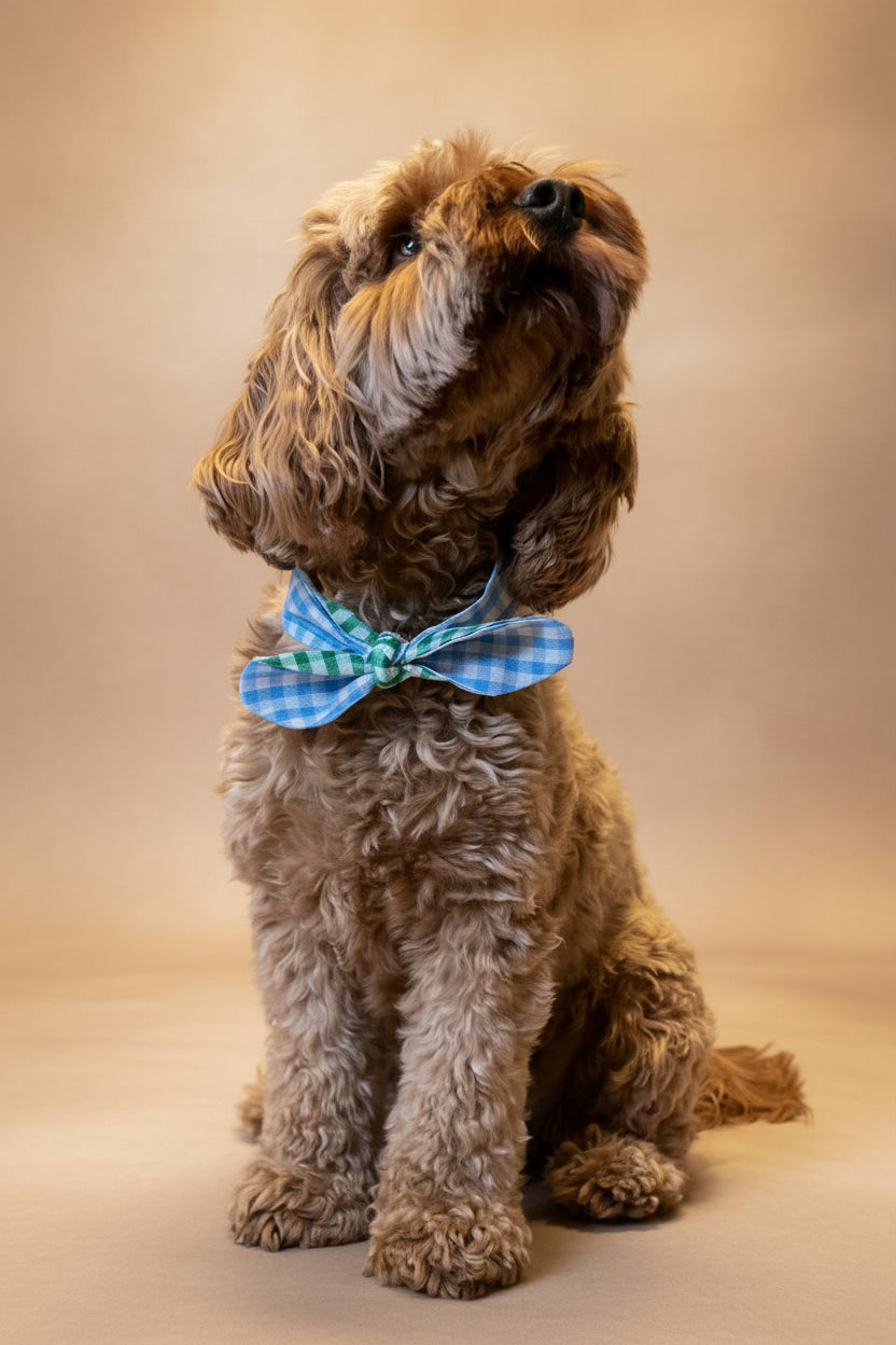 Our Bestselling Picnic Pals - Reversible Gingham Dog Neckerchief - Green & Blue