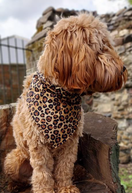 Leopawrd Bandana