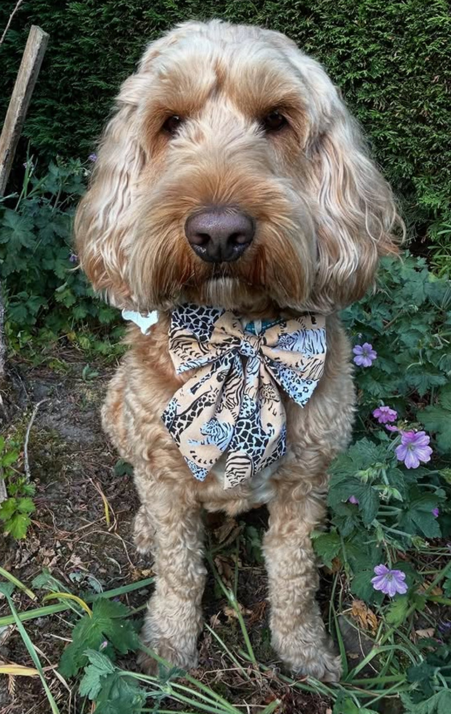 Fur-ocious Safari Sailor Bow