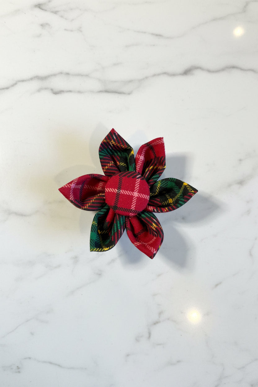 Multicolour Collar Flowers