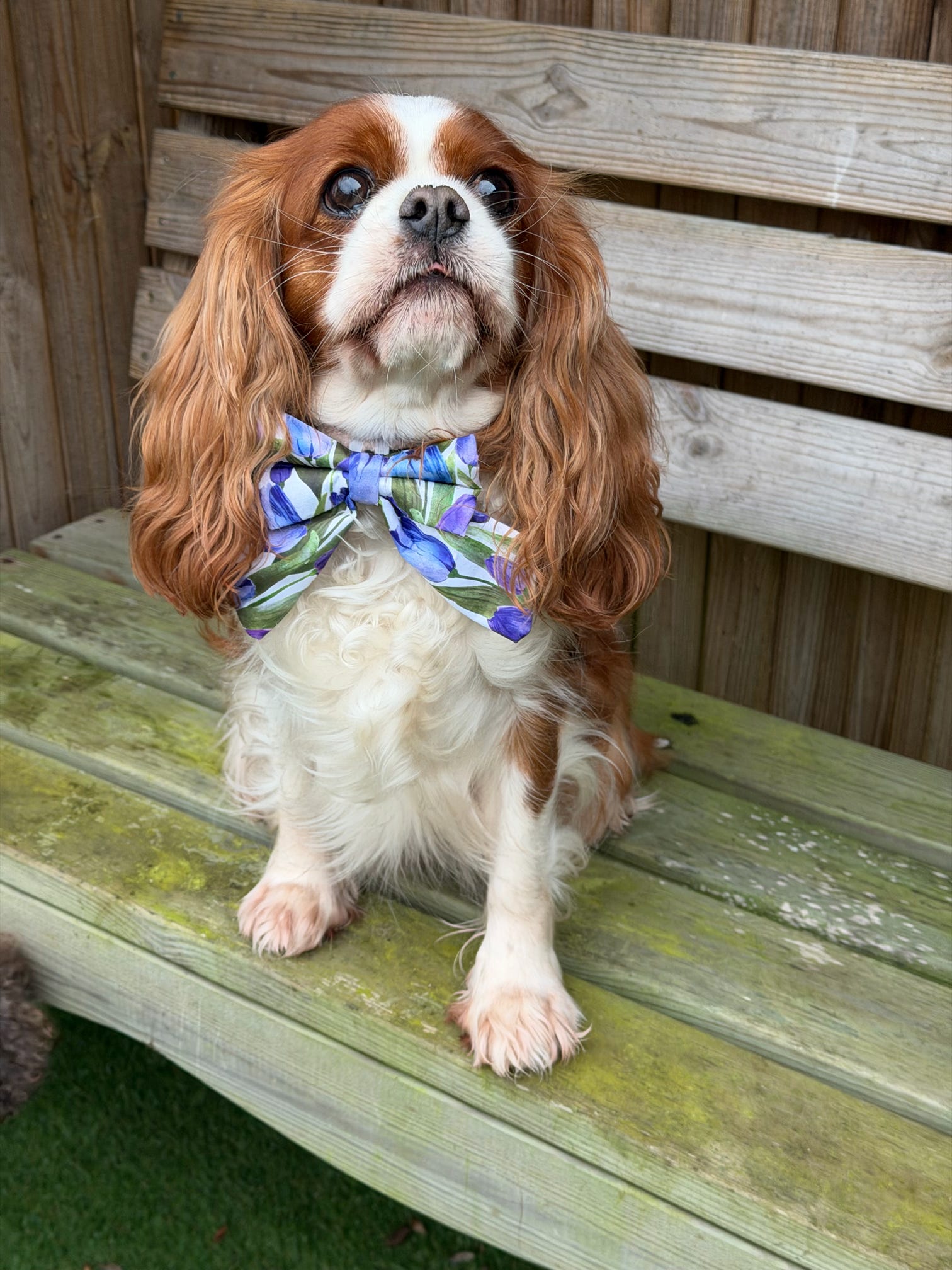 RESTOCK COMING SOON - Violet Tulip Bloom Sailor Bow