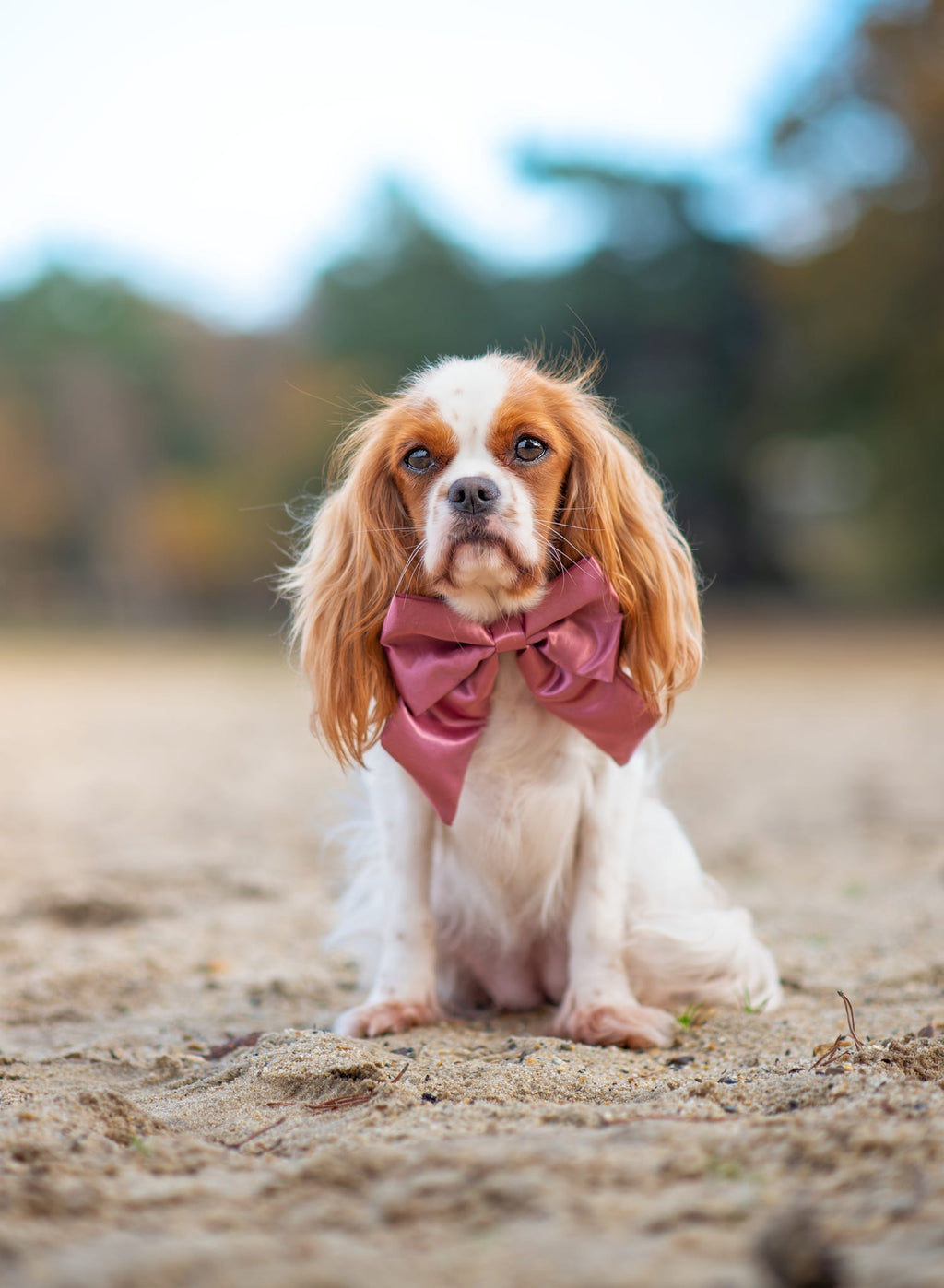 Satin Luxe Sailor Bow - Pink