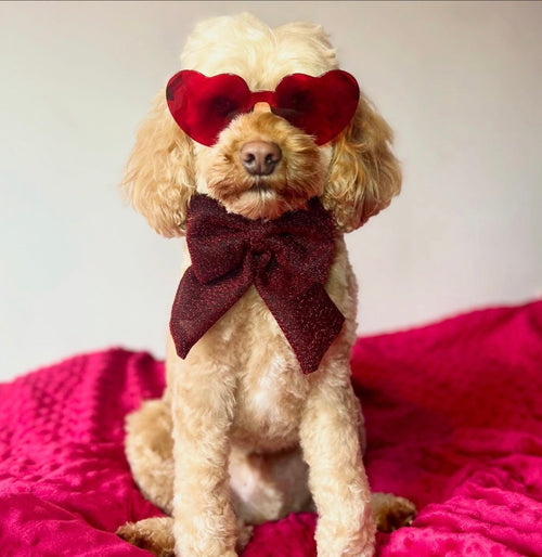 All That Shimmers Sailor Bow – Red