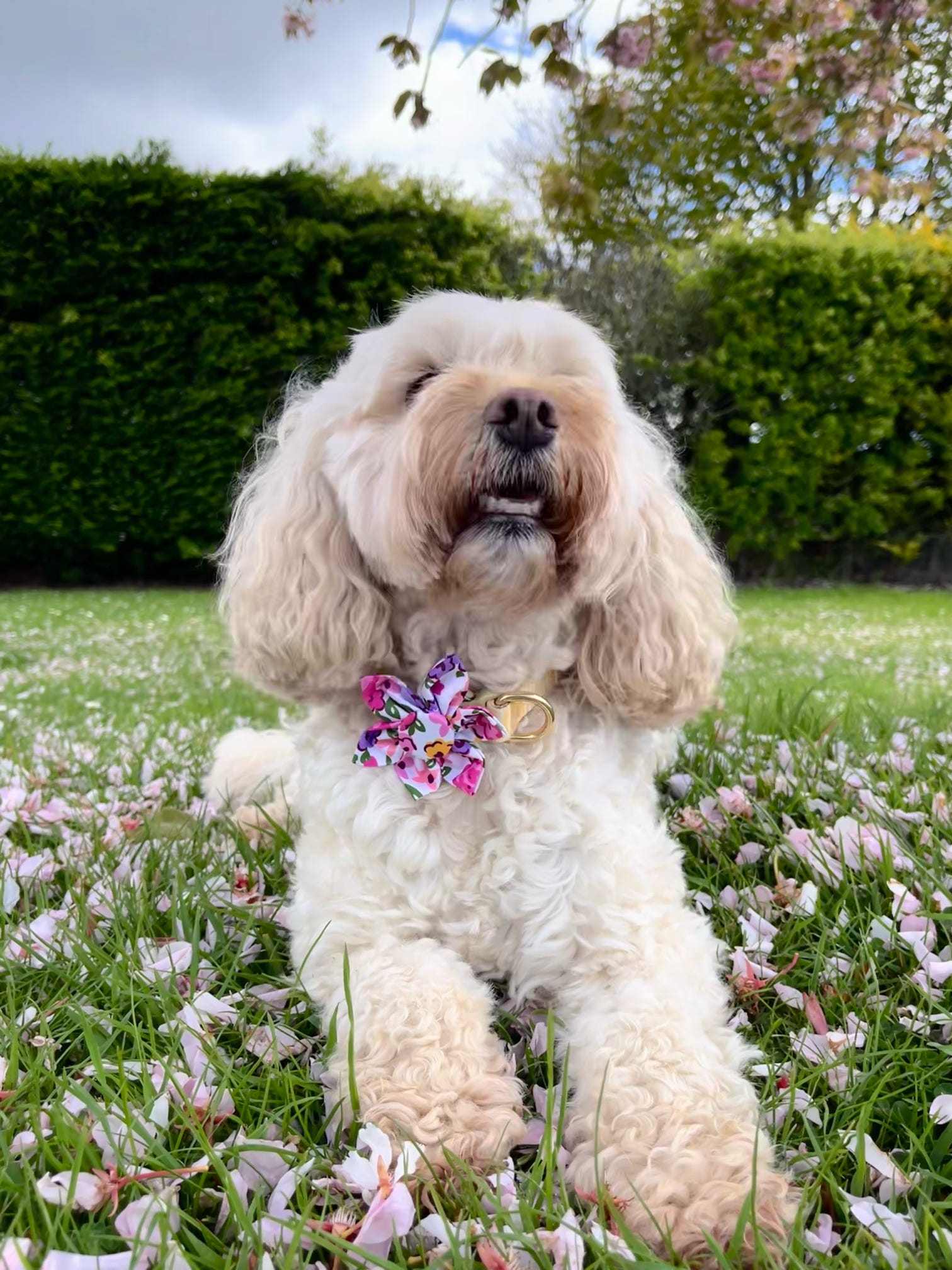 Mix & Bloom Collar Flowers - Bloom