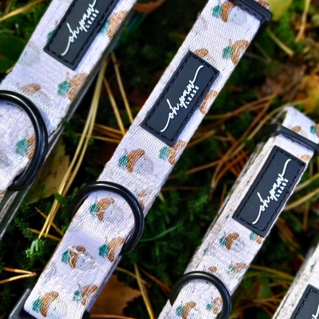 Nutty, by Nature! Acorn Collar
