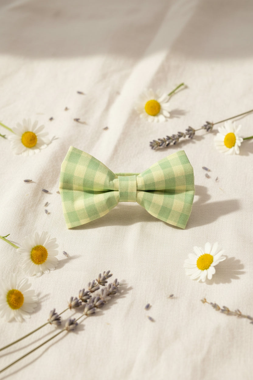 Picnic Pals - Sage Gingham Bow Tie