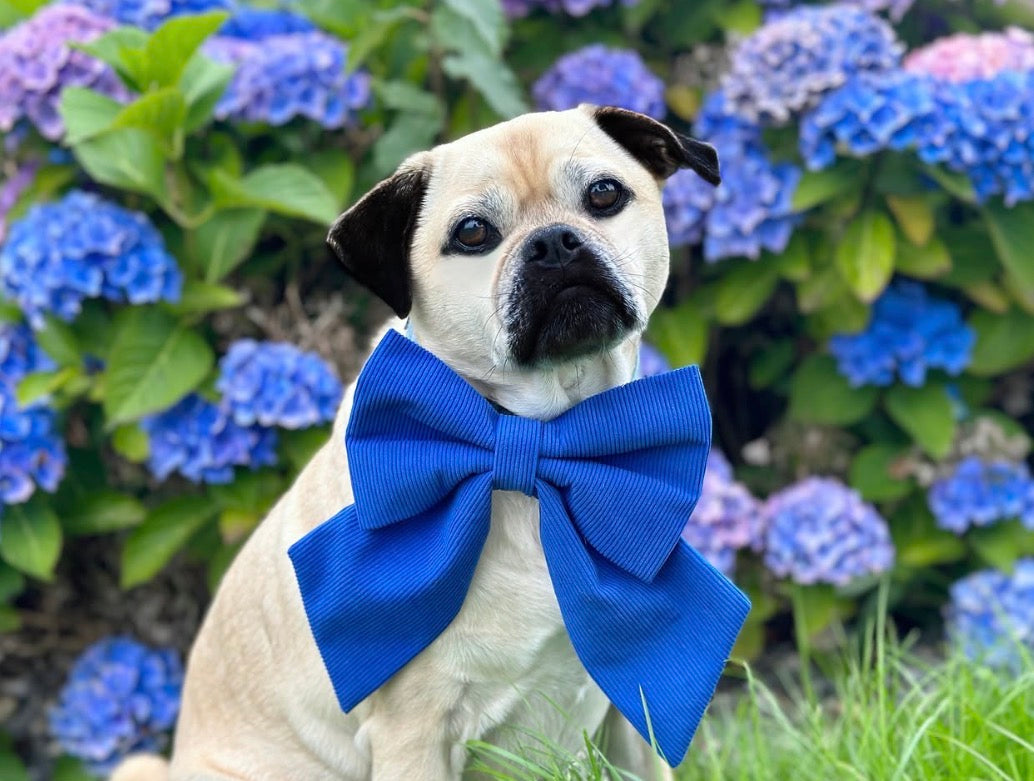 Cord & Co. - Deep Blue Sailor Bow