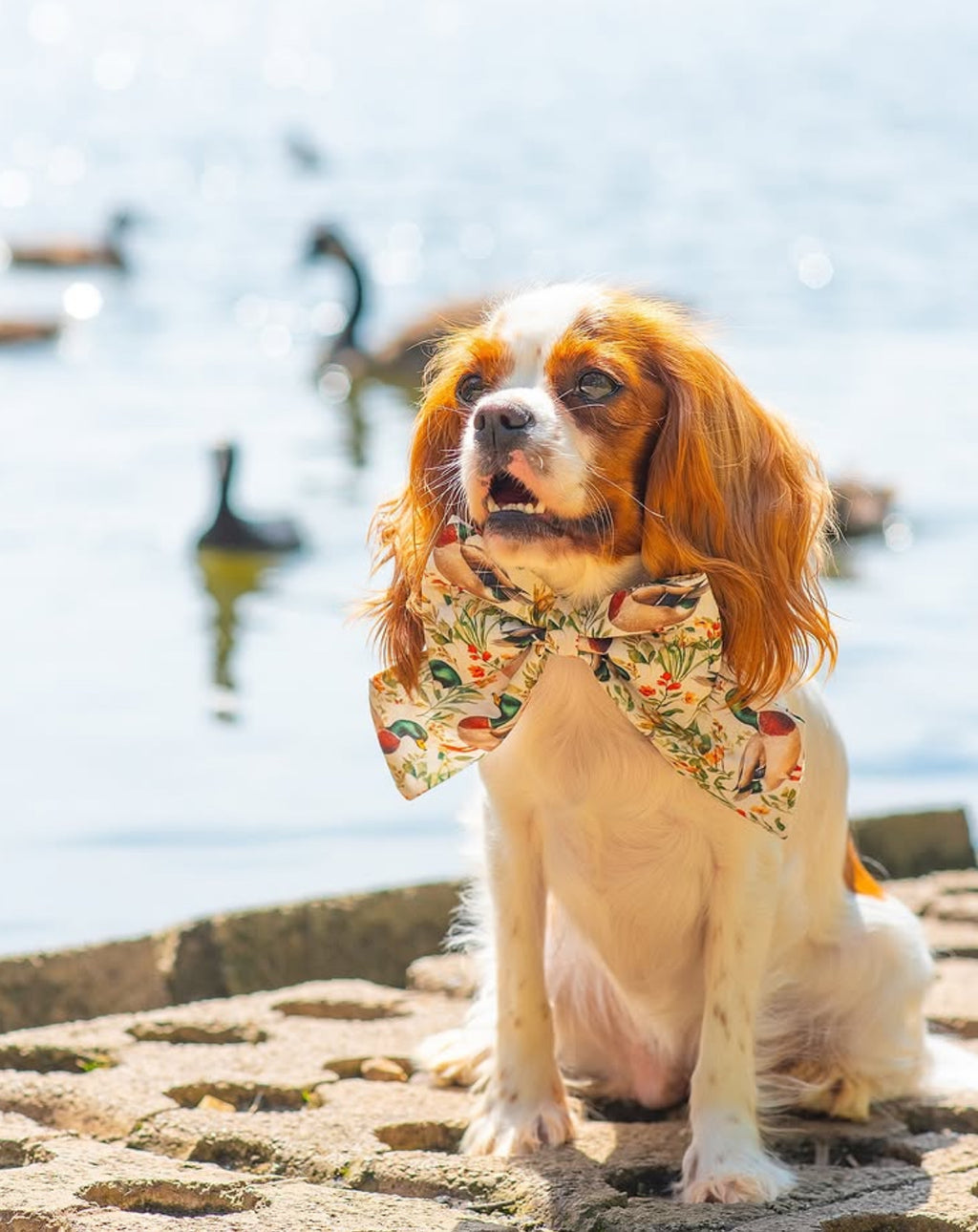 Duck Trails Sailor Bow