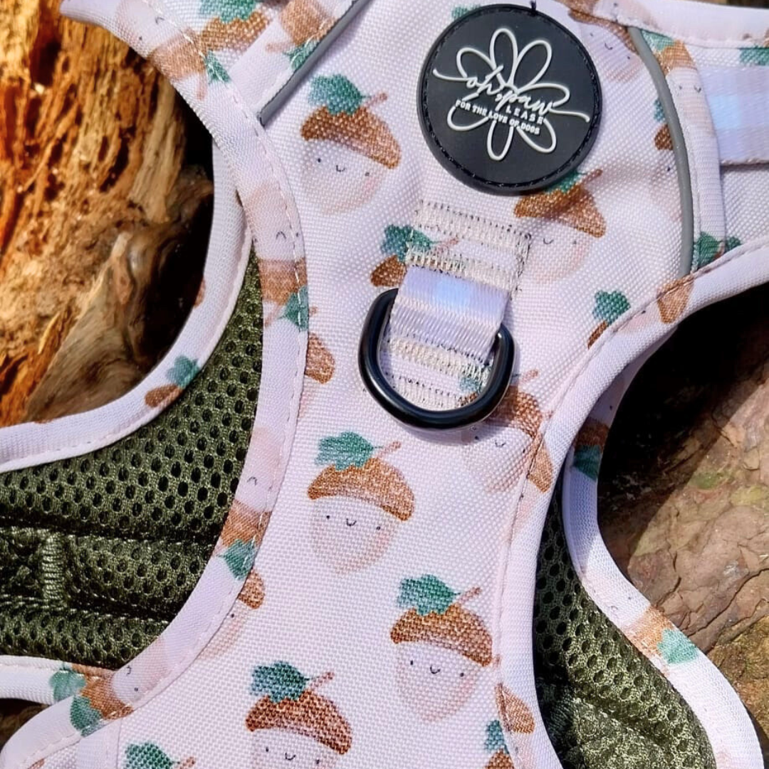 Nutty, by Nature! - Ready To Roam Harness