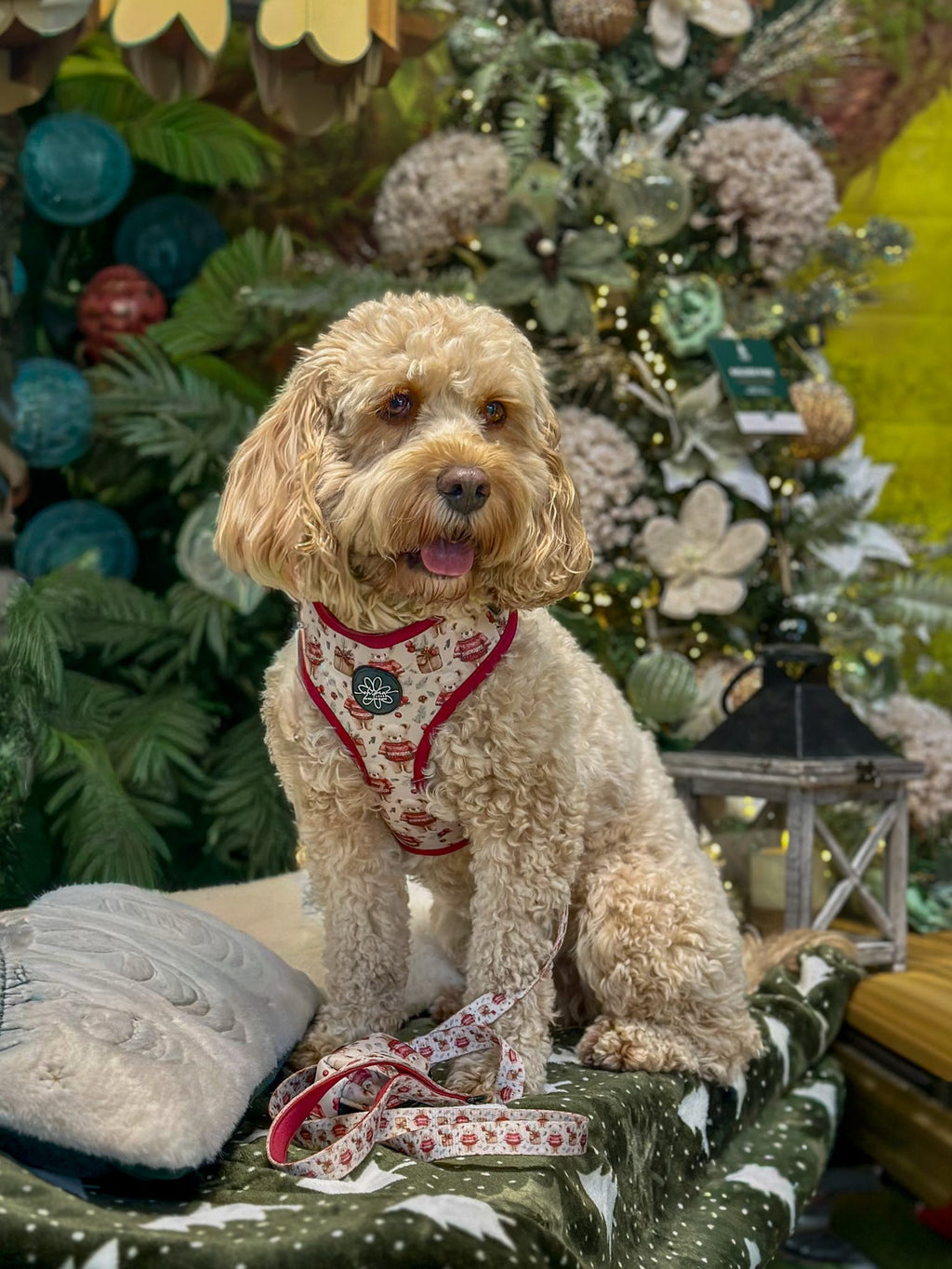 Jingle Bears Christmas Lead