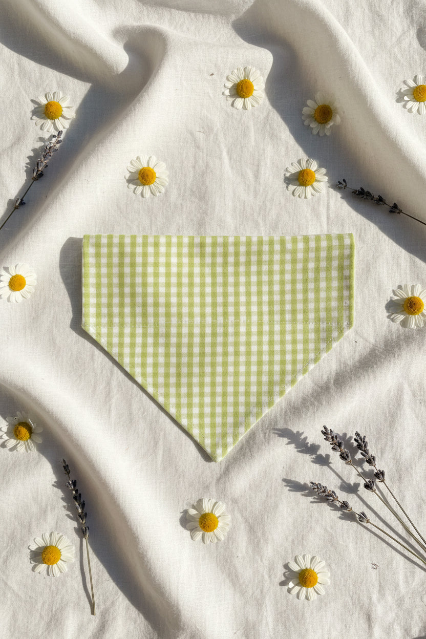 Picnic Pals - Lime Strut Dog Bandana