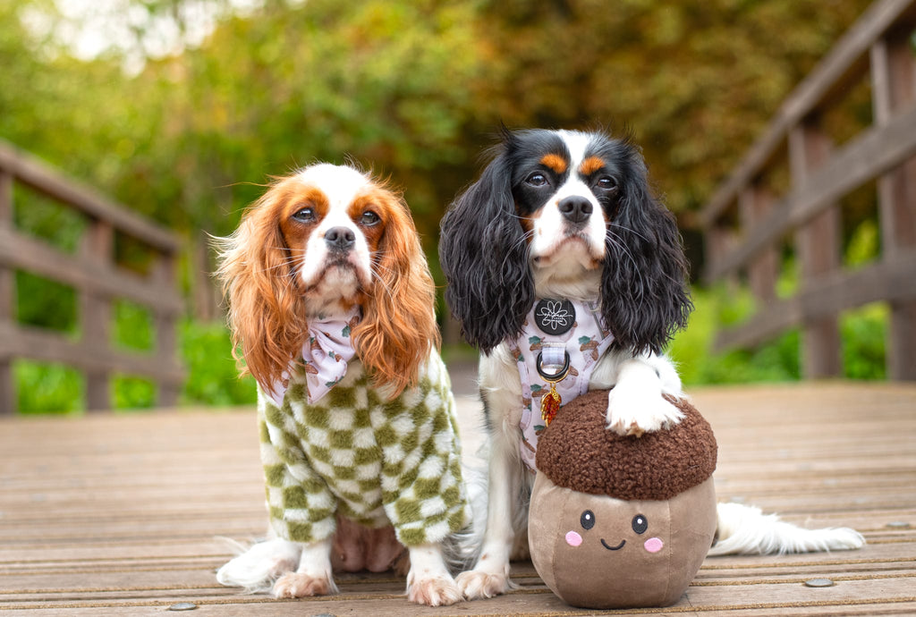 Cosy, Cute & Checkered Hoodie