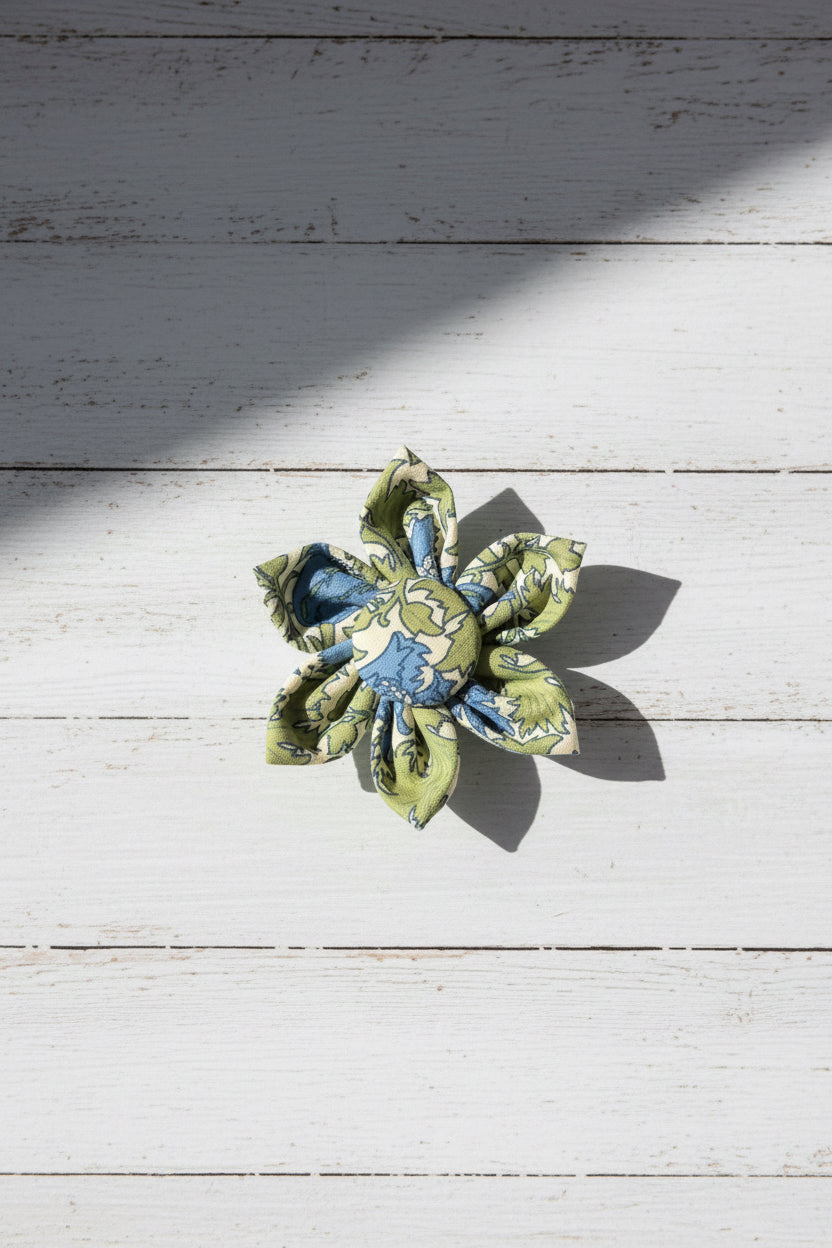 Evergreen Collar Flower