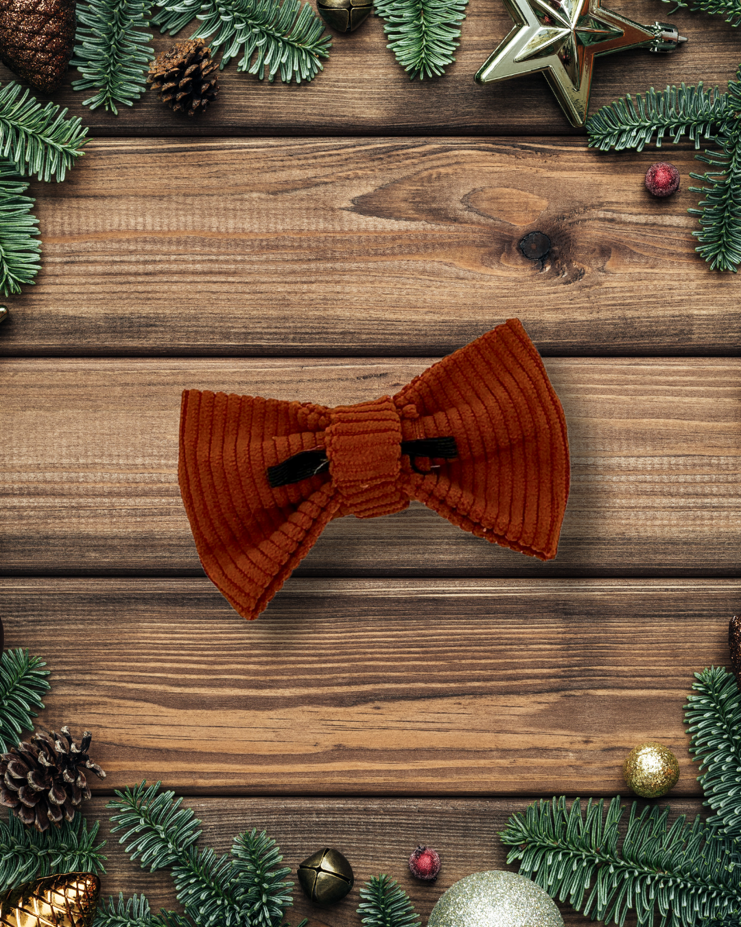 Terracotta Corduroy Bow Tie
