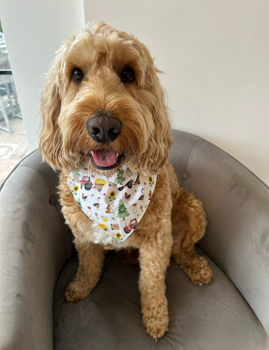 Down on the Farm Bandana