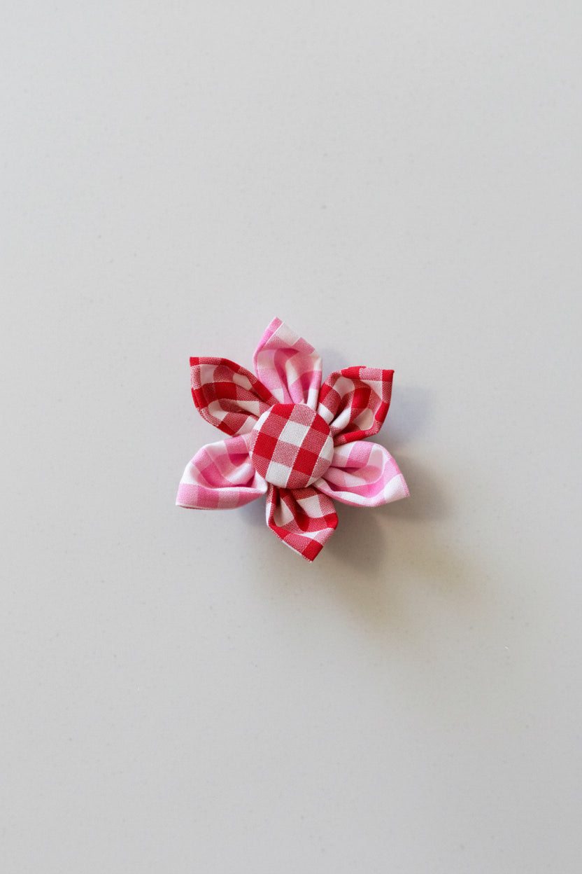 Picnic Pals - Mixed Gingham Collar Flower