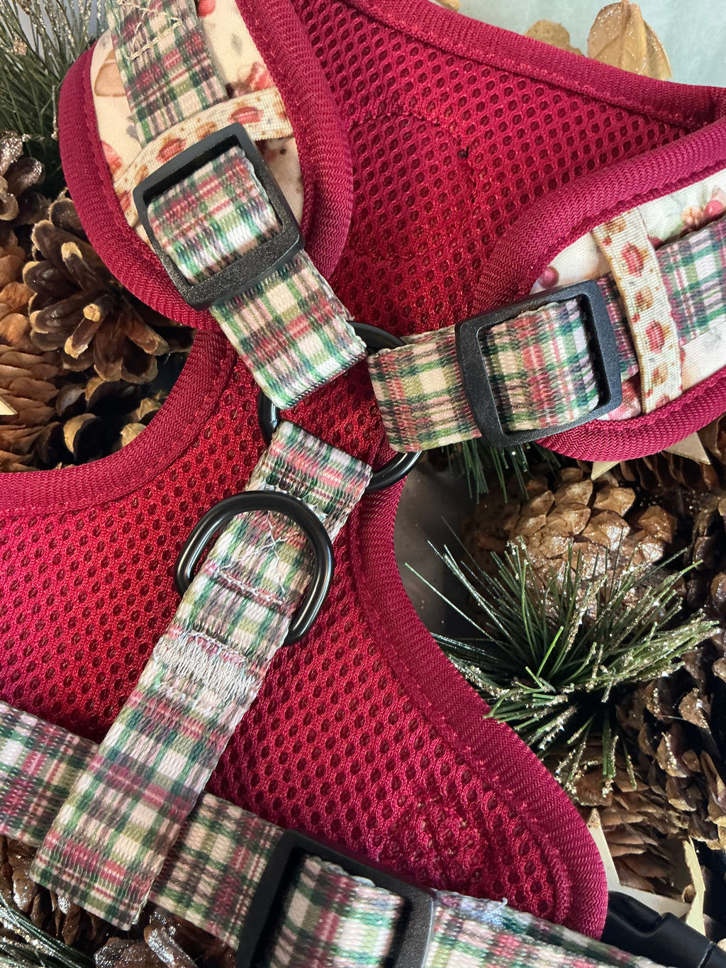 Jingle Bears - Adjustable Harness