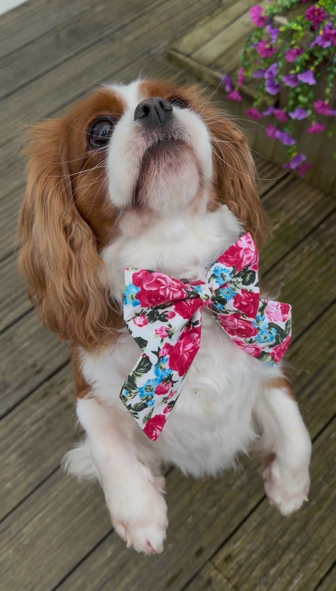 Vintage Rose Sailor Bow - Pink