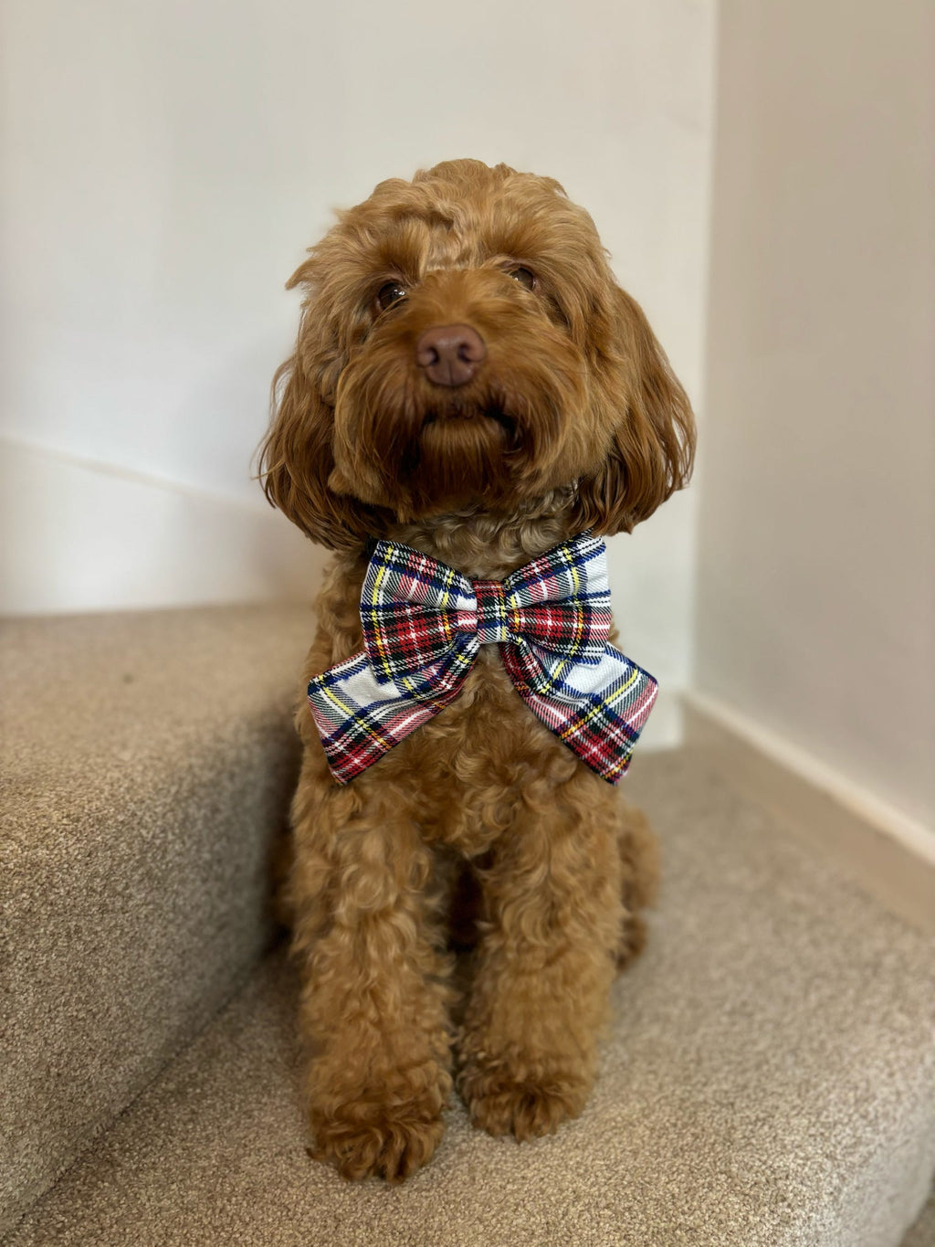 Countryside Club - White Plaid Sailor Bow