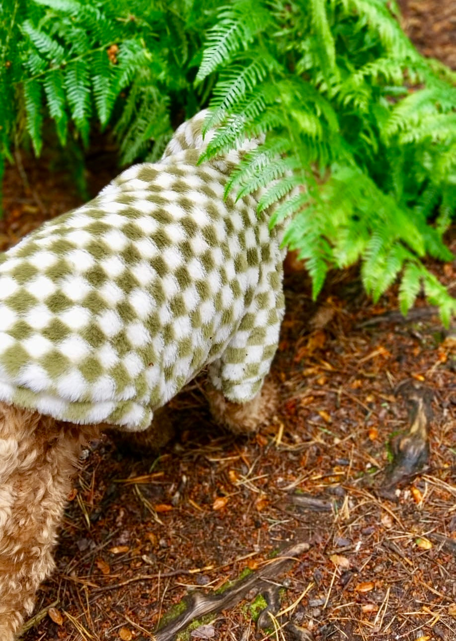 Cosy, Cute & Checkered Hoodie