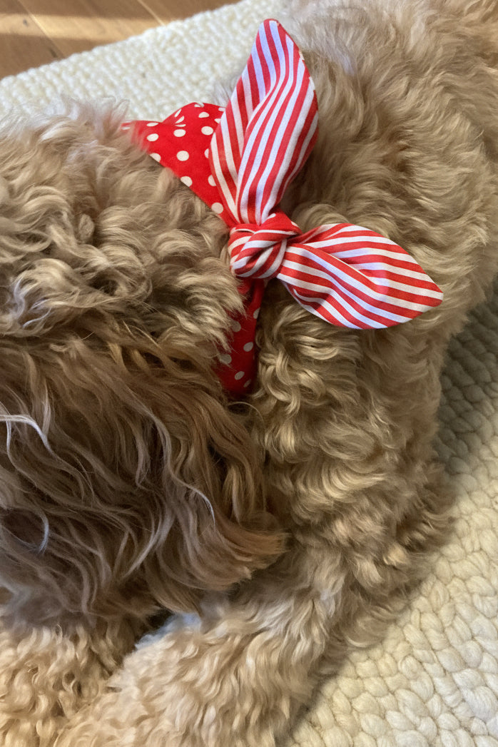 Cherry Pop Reversible Dog Neckerchief