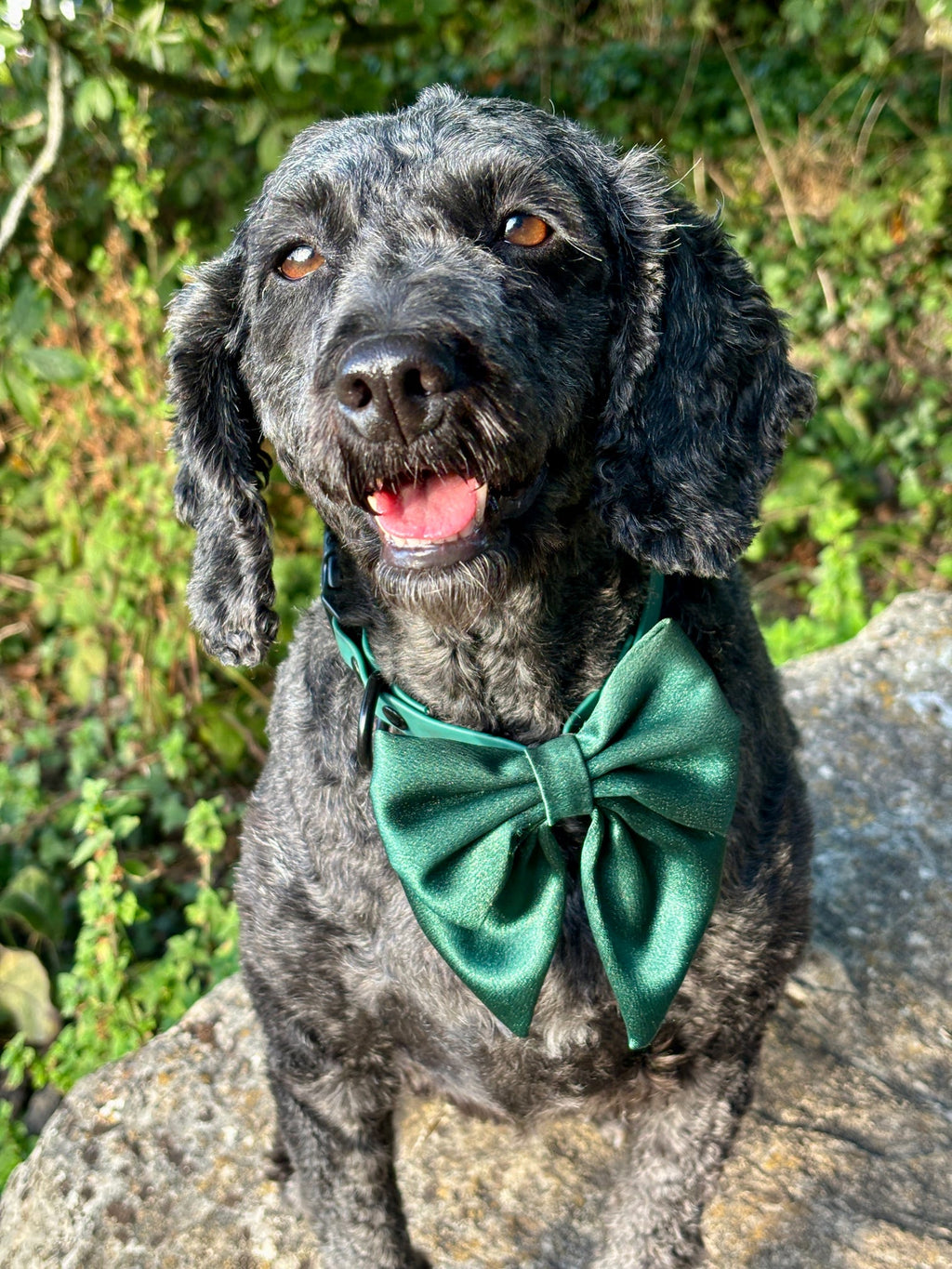 Social Season - Emerald Luxe Rambler Bow