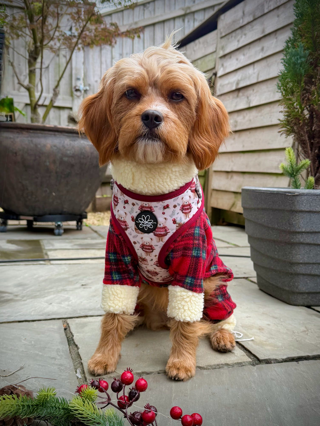 Jingle Bears - Adjustable Harness