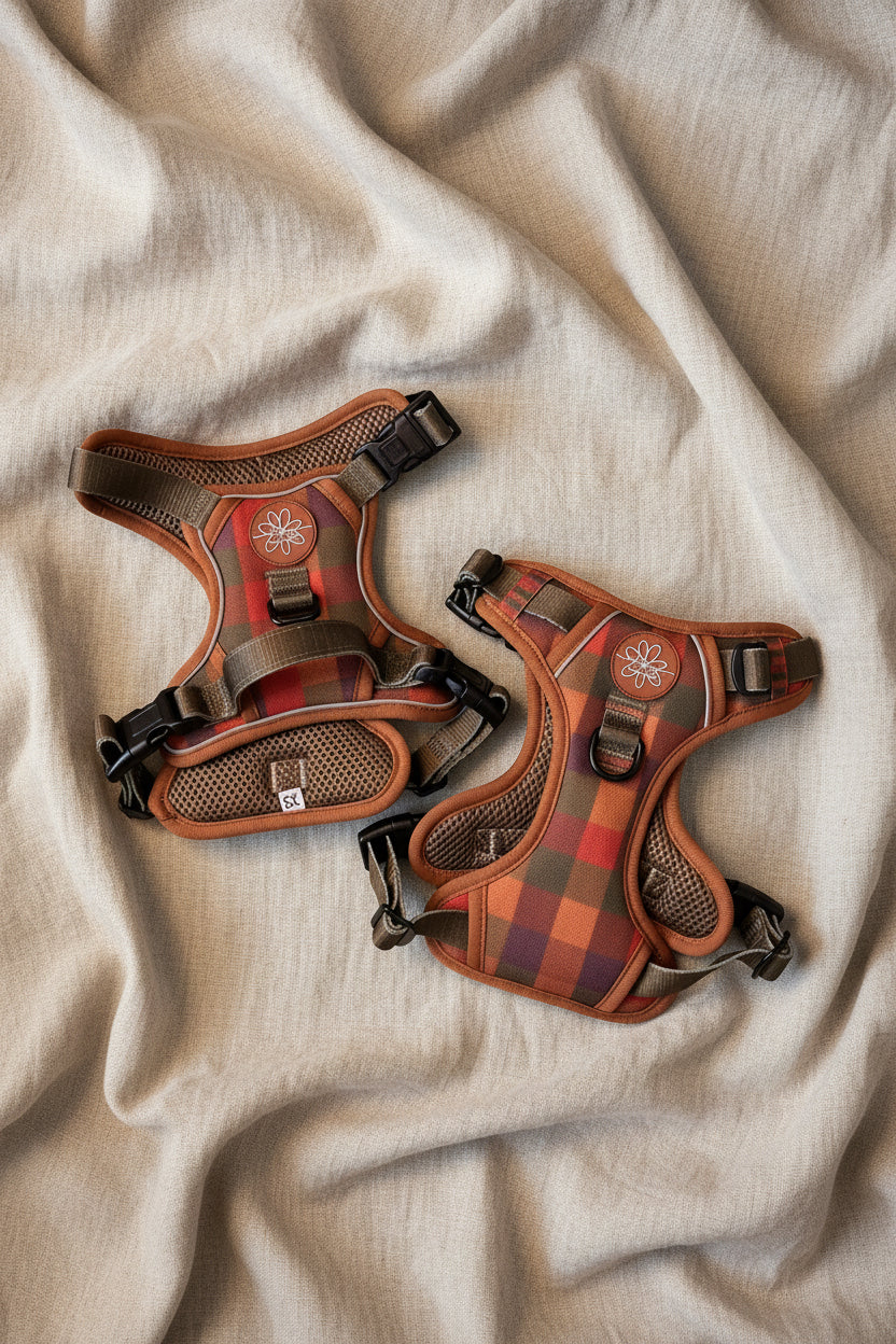 Core Memory 3 Click Harness - Burnham Weave