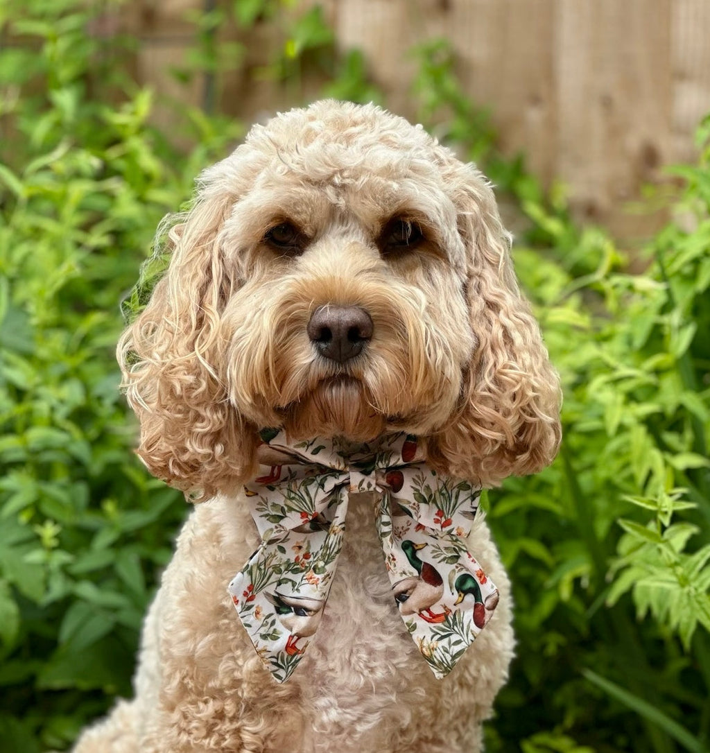 Duck Trails Sailor Bow