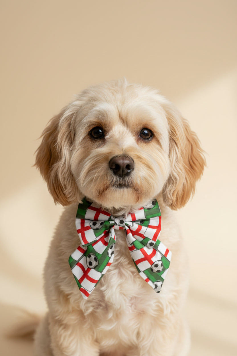 England Flag Dog Sailor Bow