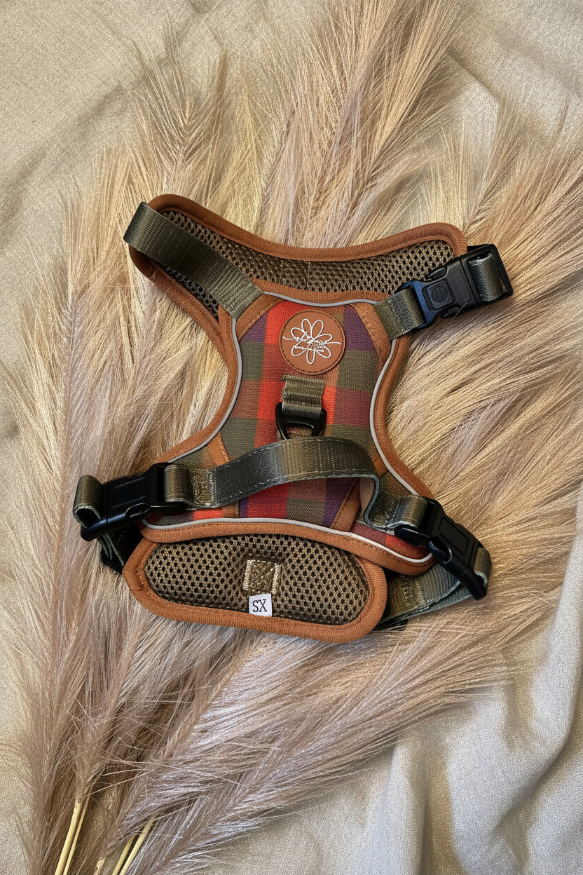 Core Memory 3 Click Harness - Burnham Weave