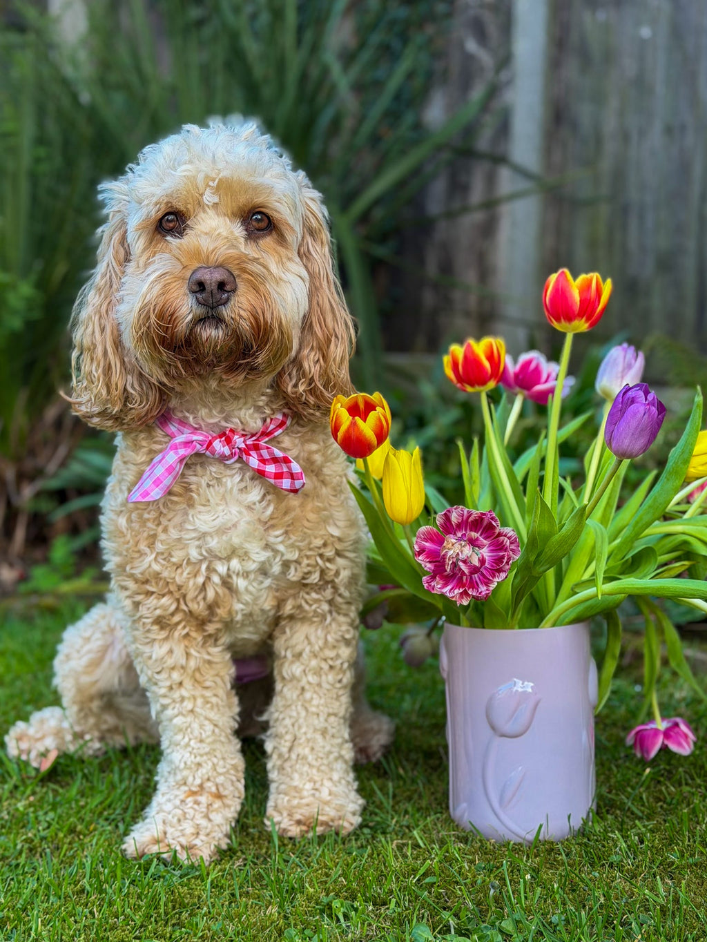 Picnic Pals - Reversible Gingham Dog Neckerchief - Pink & Red