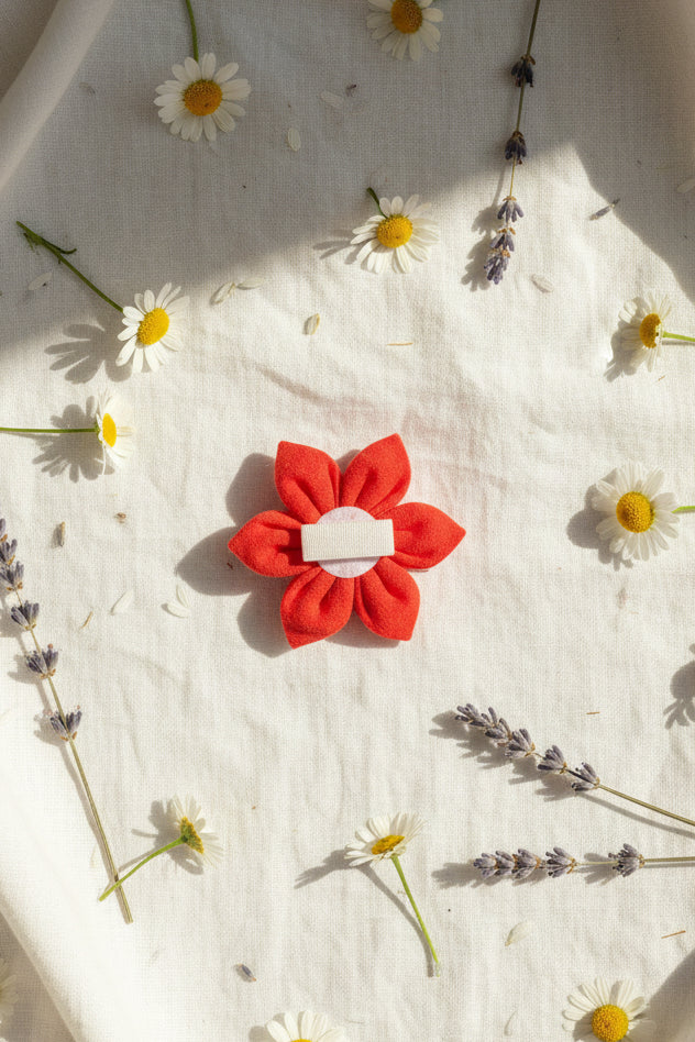 Orange Linen Collar Flowers