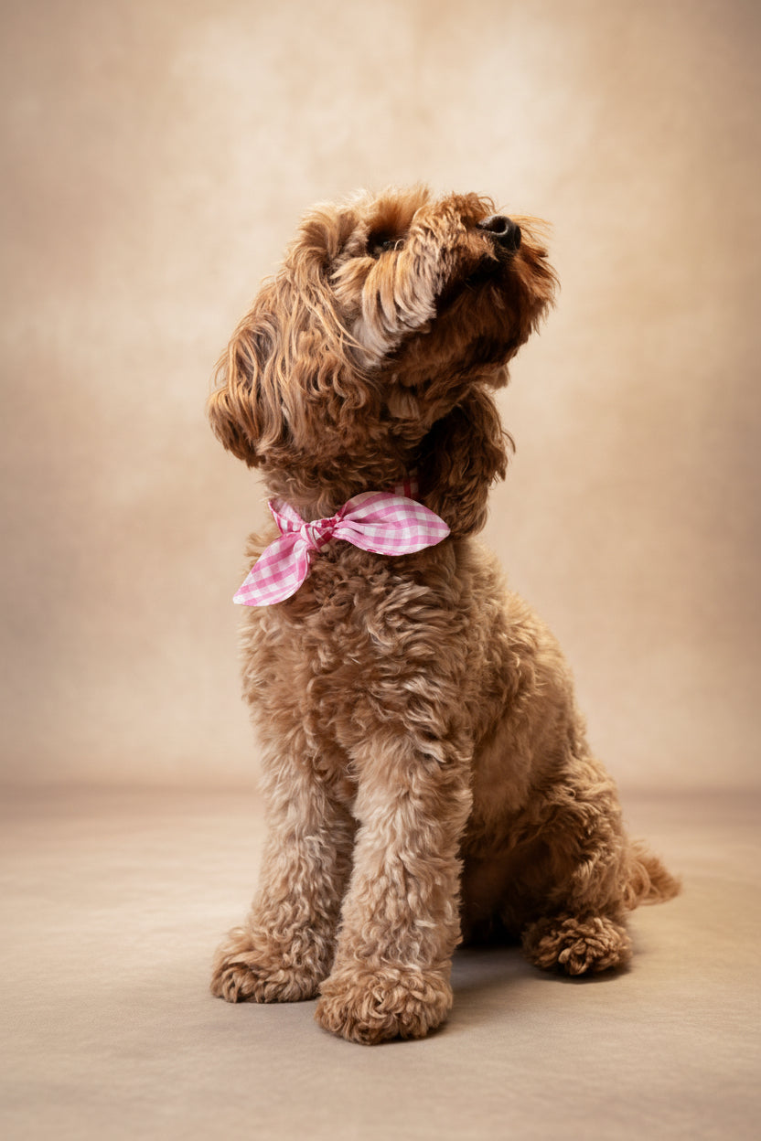 Picnic Pals - Reversible Gingham Dog Neckerchief - Pink & Red