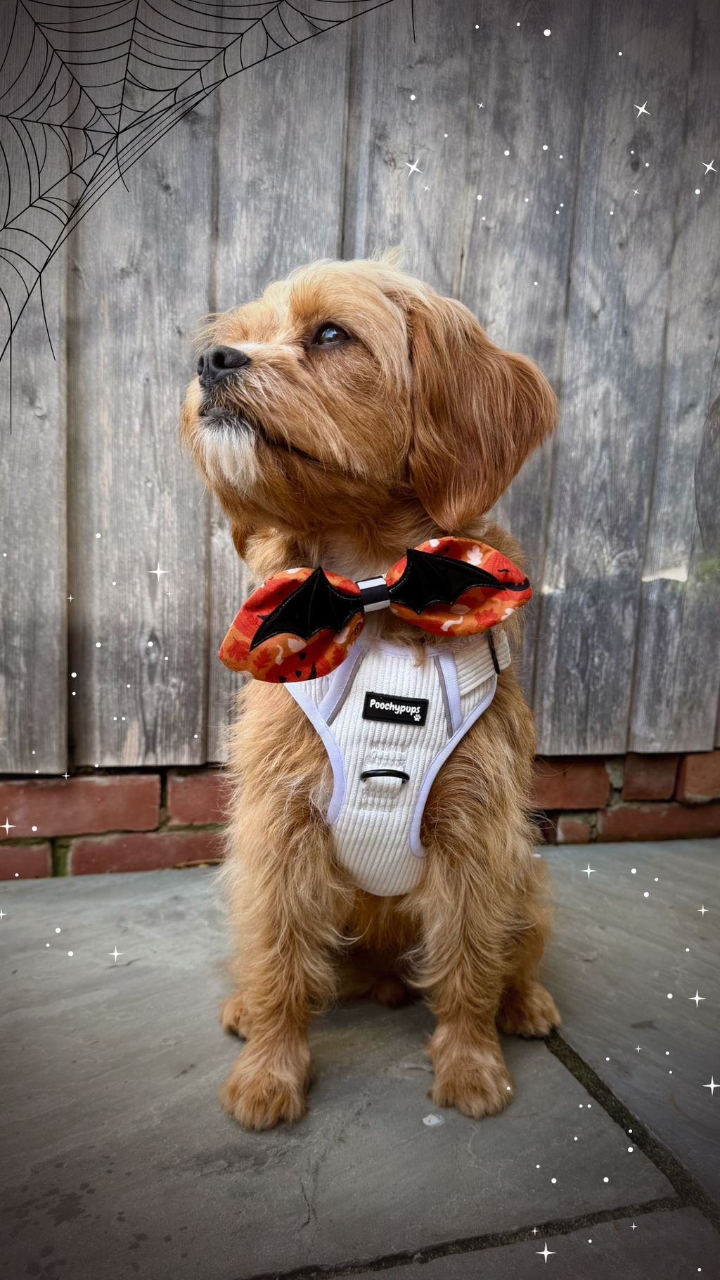 Pumpkin Patch Oversized Bat Wing Bow
