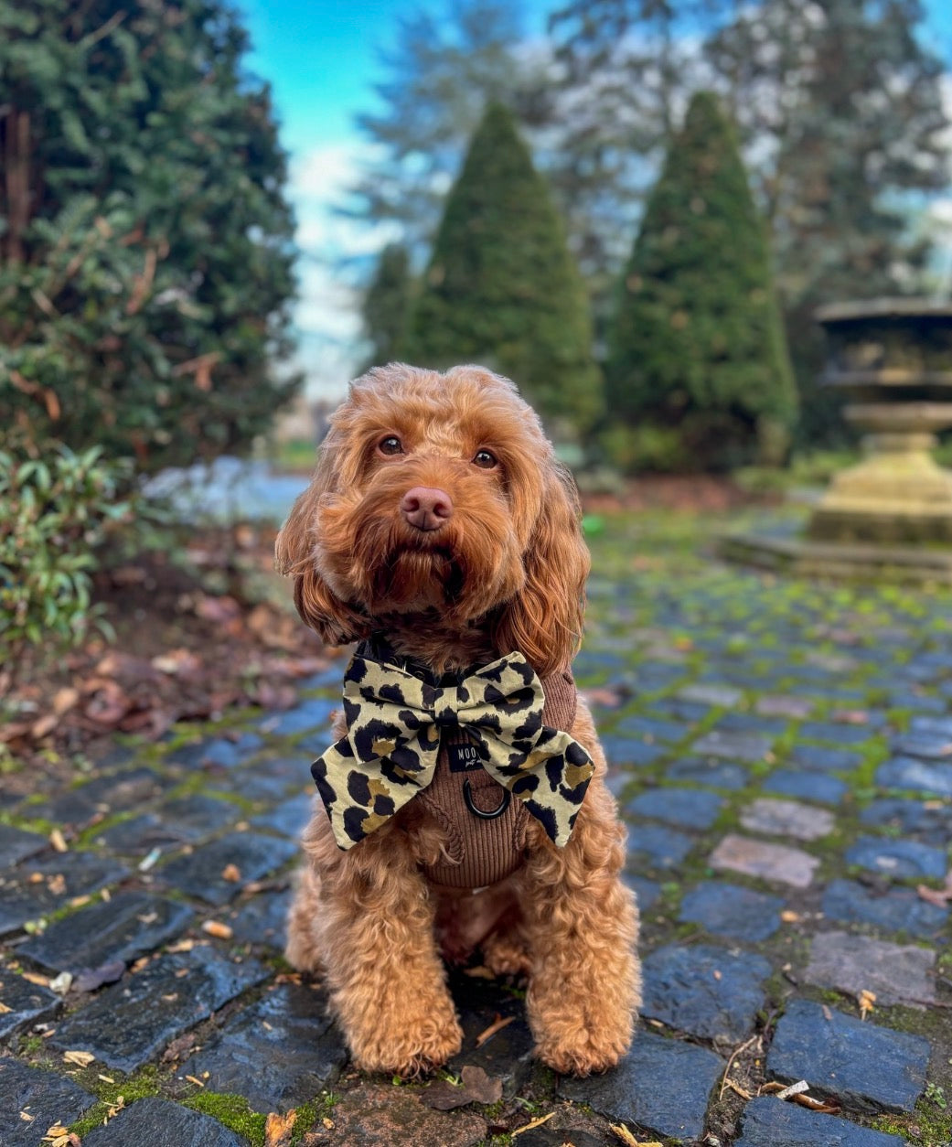 Leopard Print Sailor Bow