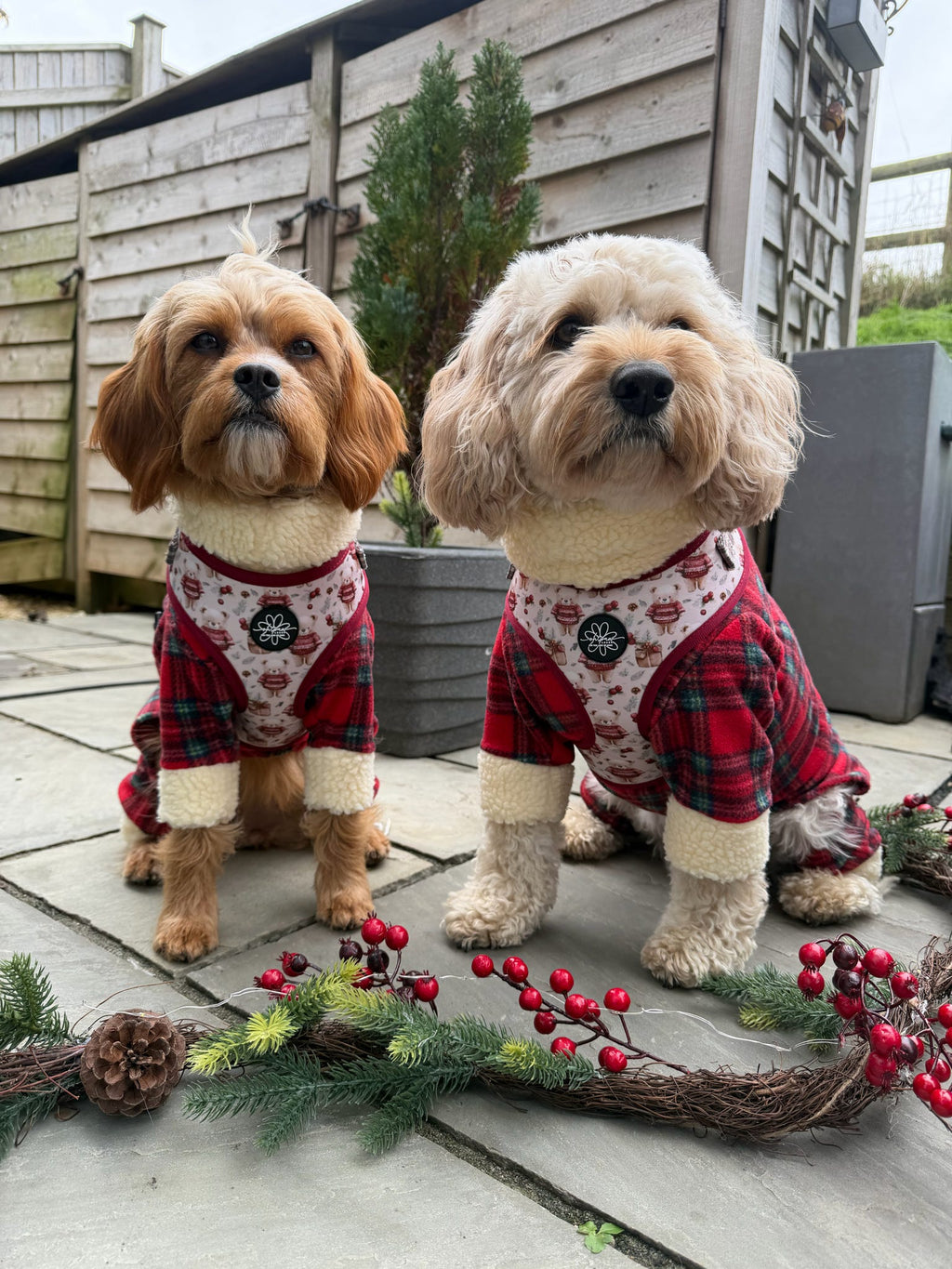 Jingle Bears - Adjustable Harness