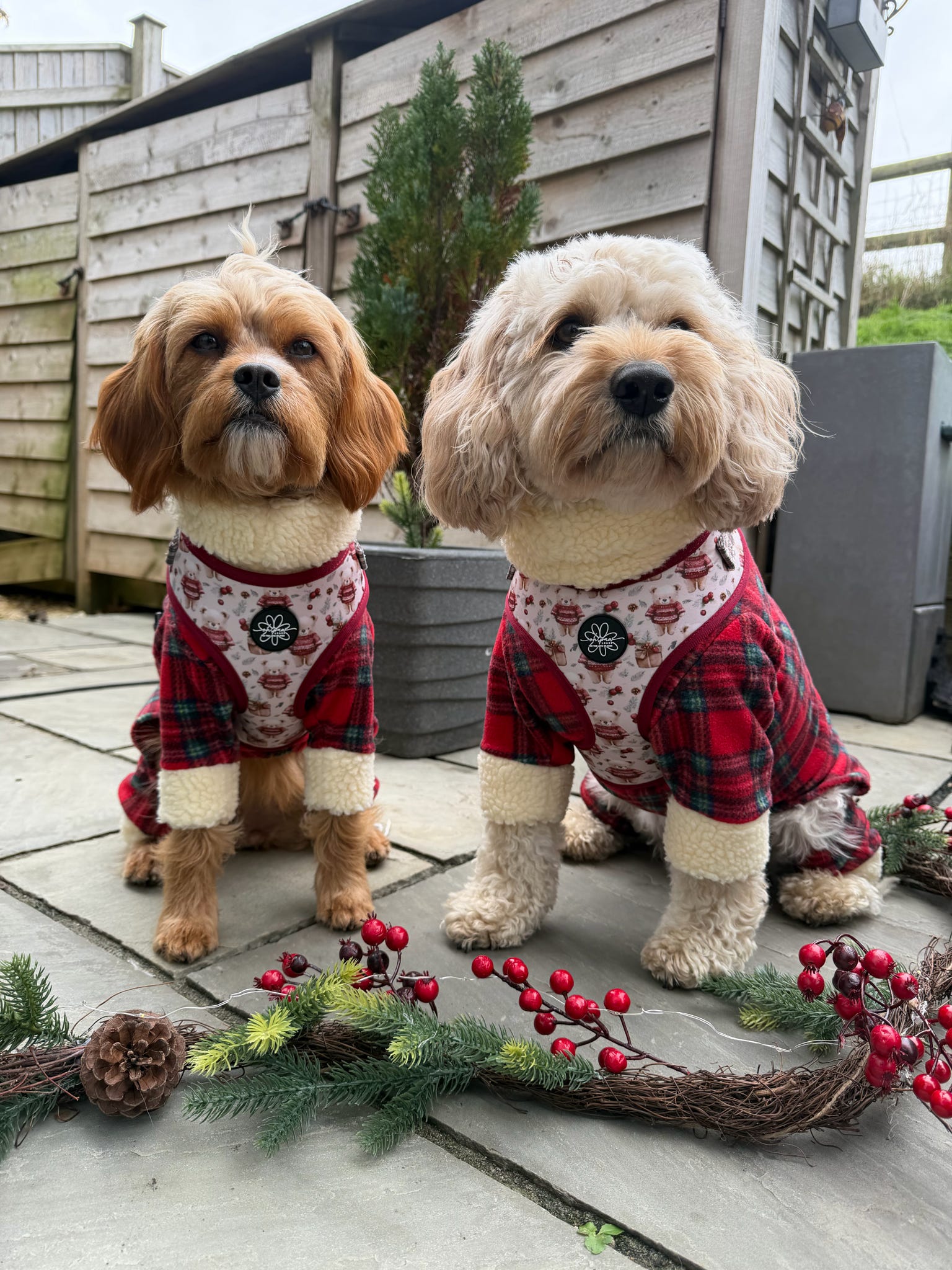 Jingle Bears - Adjustable Harness