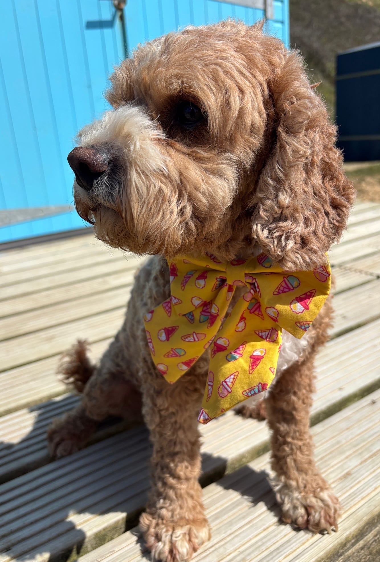 Ice Cream Print Dog Sailor Bow