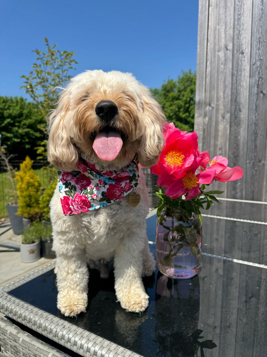 Vintage Rose Bandana - Pink