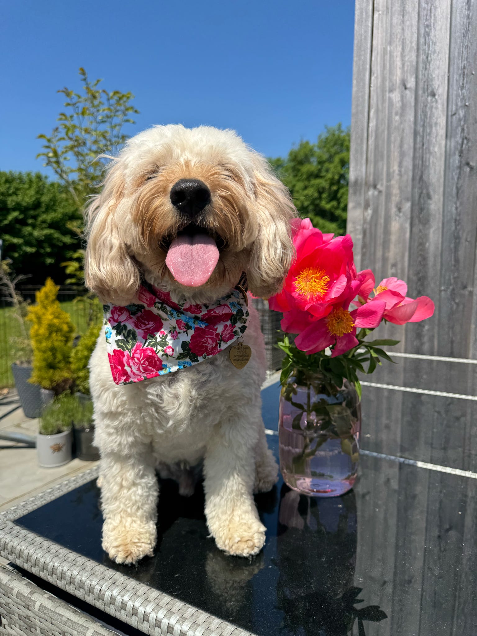 Vintage Rose Bandana - Pink