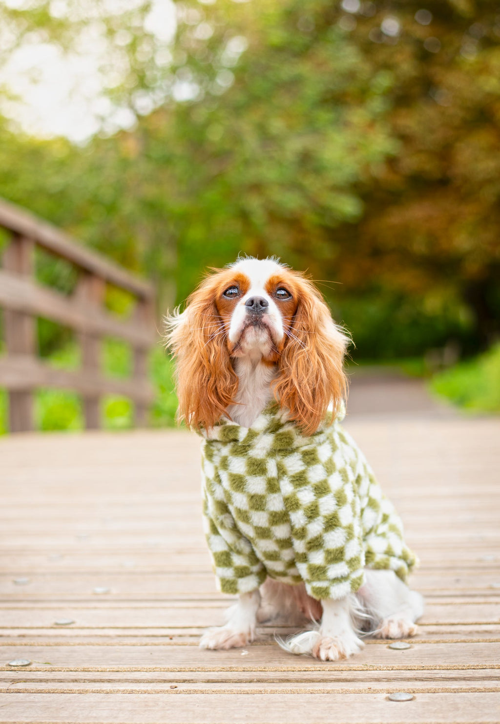 Cosy, Cute & Checkered Hoodie