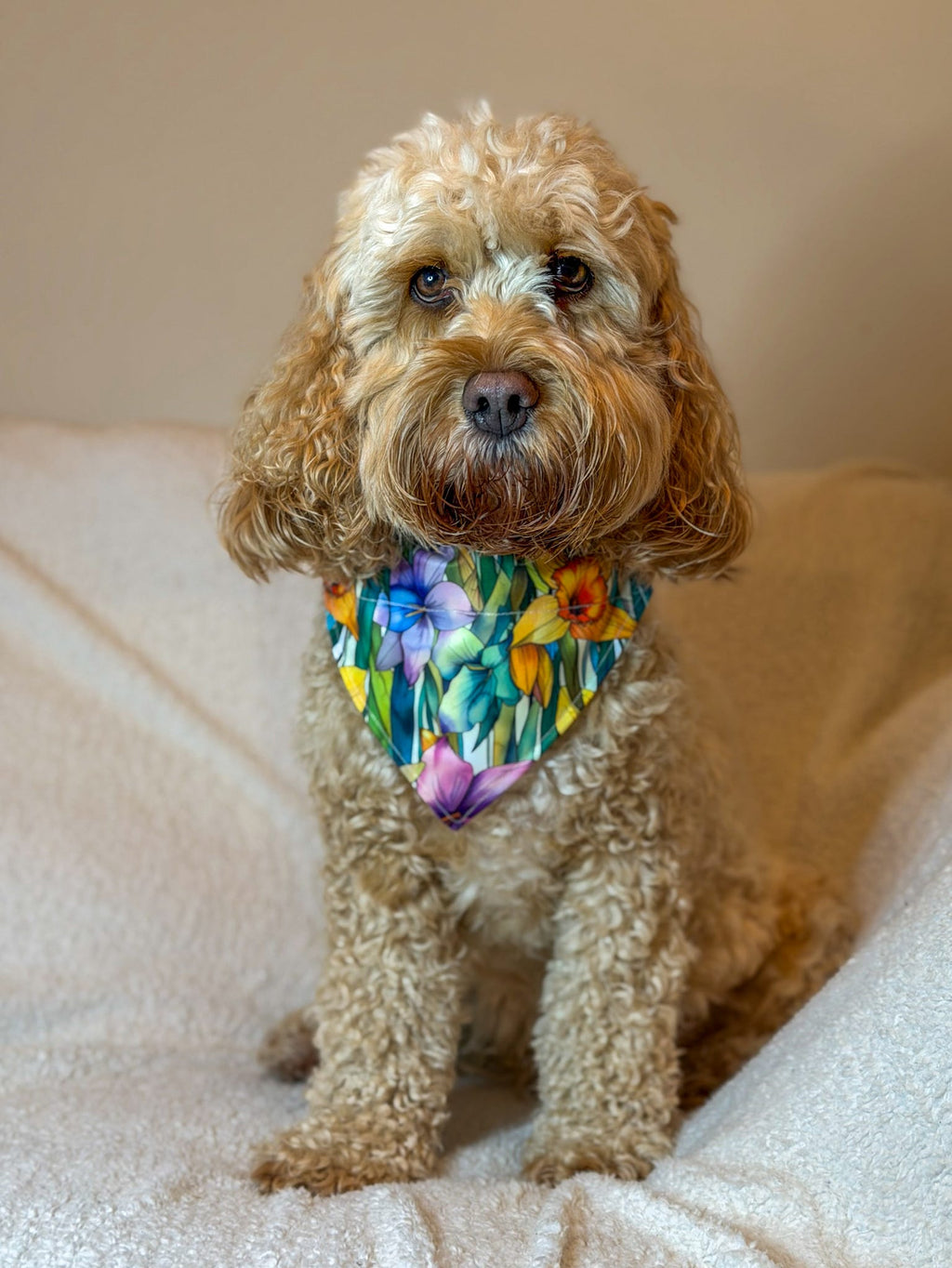 Daffodil Meadow Dog Bandana