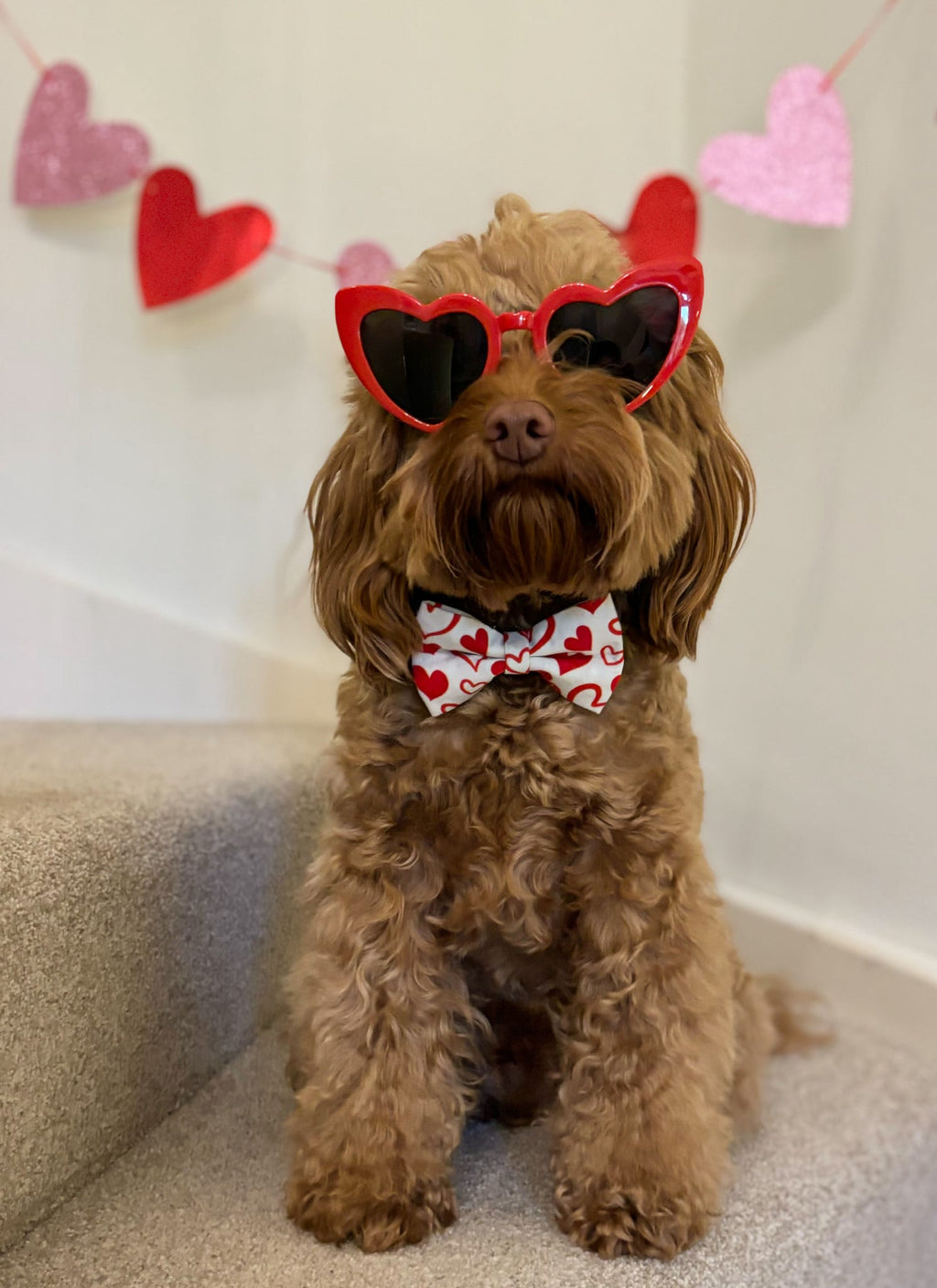 Scribble Heart Bow Tie – Ruby Red