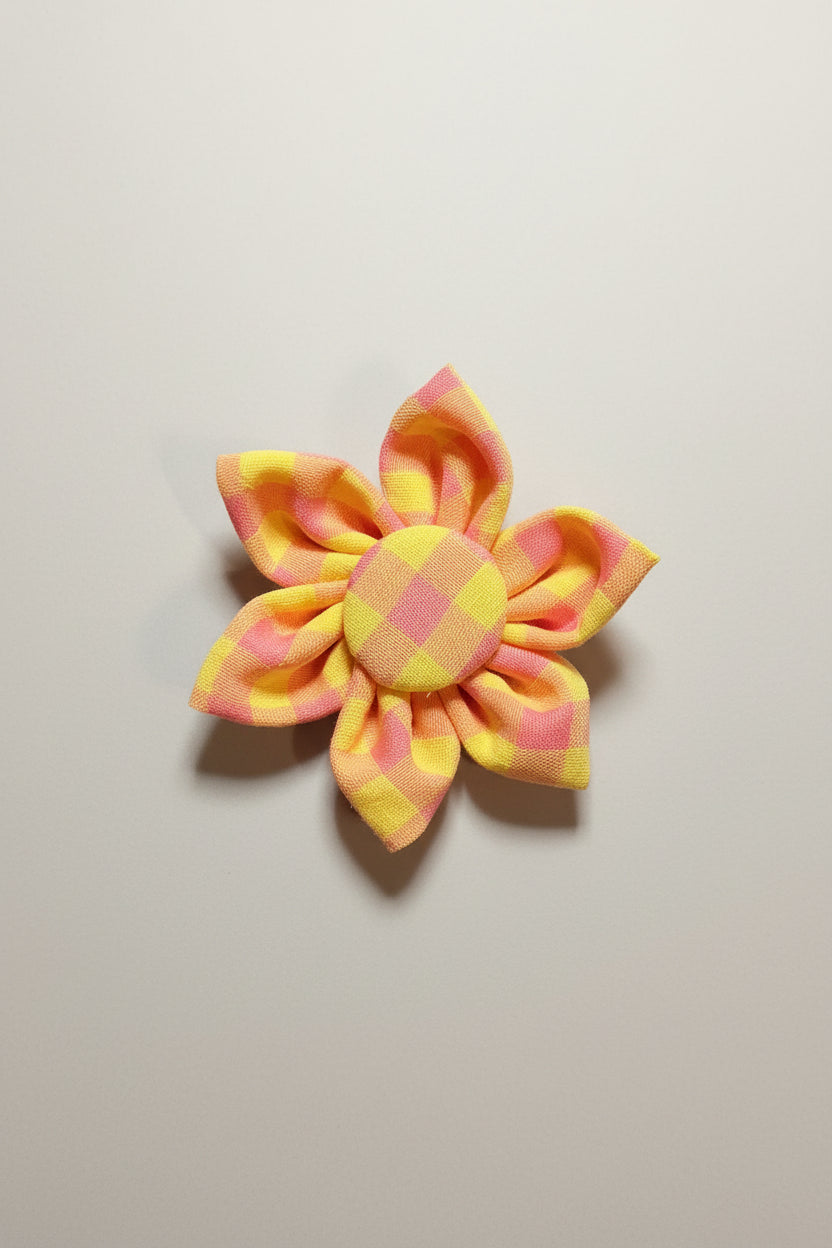 Heritage Hound - Peach Gingham Collar Flower