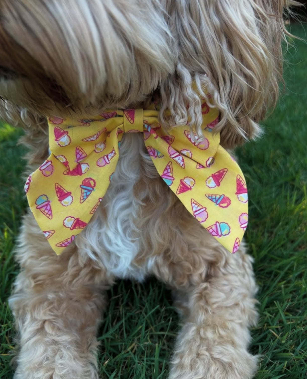 Sunshine & Sniffs Ice Cream Sailor Bow