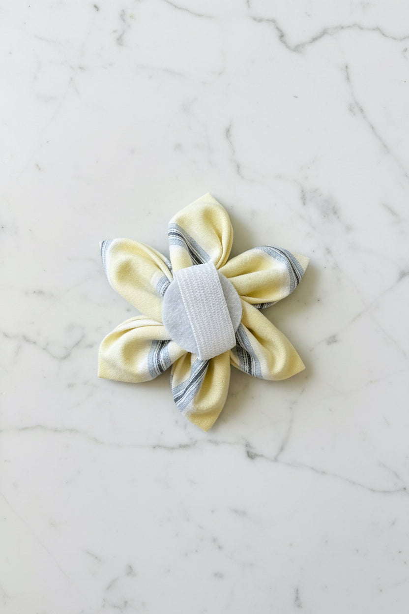 Sunday Shirt Collar Flower