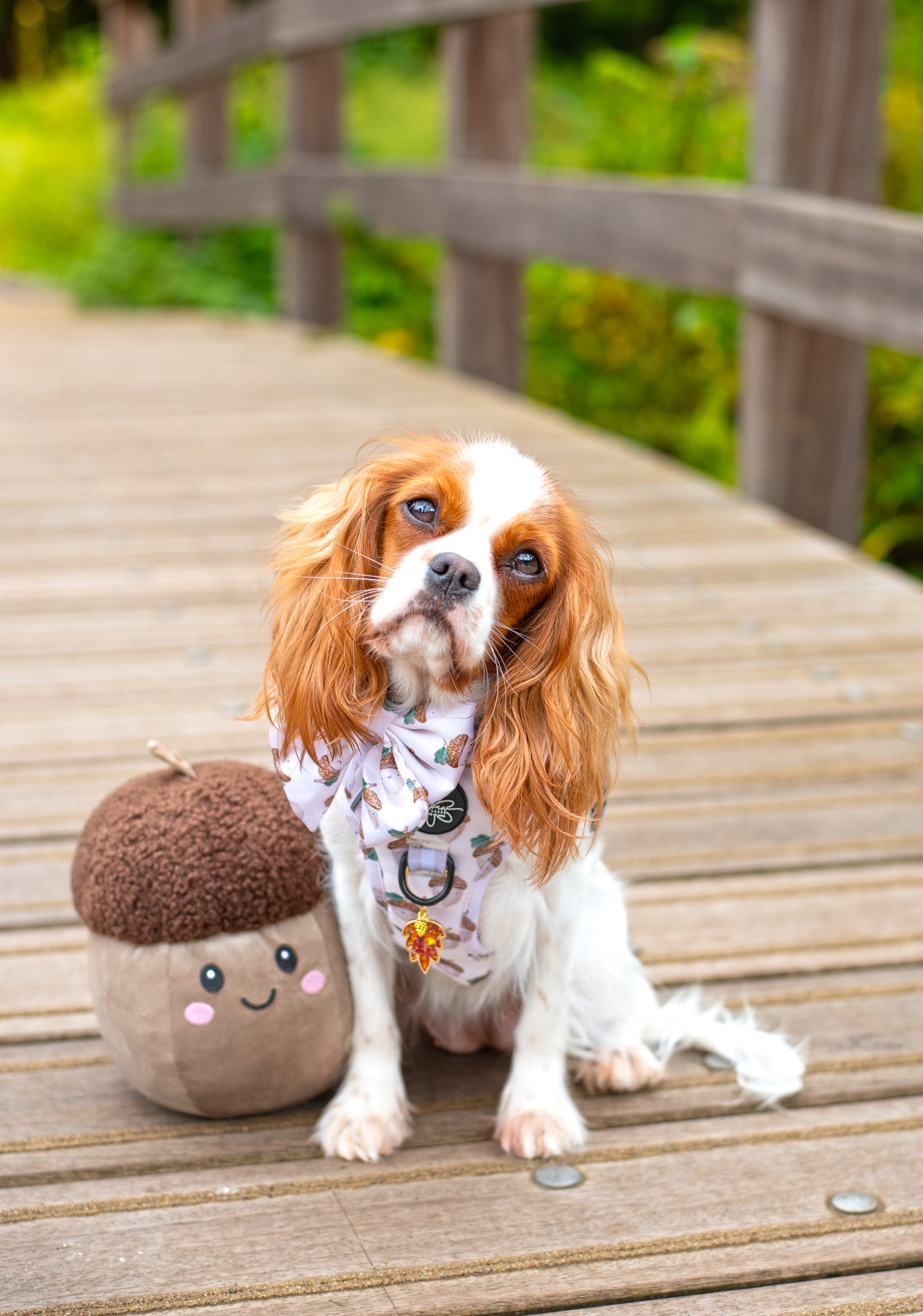Nutty, by Nature! - Ready To Roam Harness